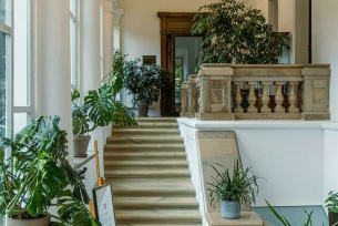 Pałac Kołłątajów w Wiśniowej