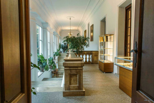 Pałac Kołłątajów w Wiśniowej