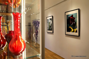 Pałac Kołłątajów w Wiśniowej