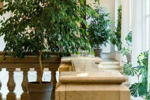 Pałac Kołłątajów w Wiśniowej