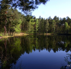 Jezioro Jasne