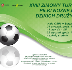XVIII Zimowy Turniej Piłki Nożnej Dzikich Drużyn
