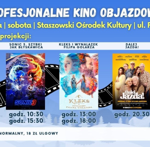 Profesjonalne Kino Objazdowe