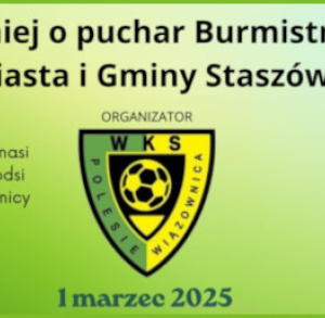 Turniej o Puchar Burmistrza Miasta i Gminy Staszów