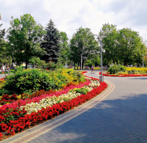 Park im. Adama Bienia