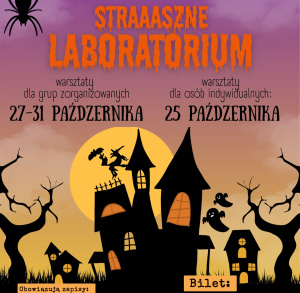 „Straaaszne Laboratorium” w Strefie Sowa w Staszowie