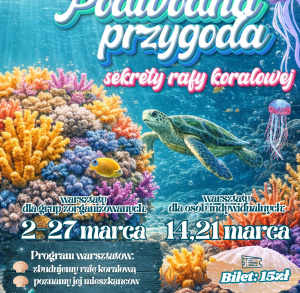 Podwodna przygoda – sekrety rafy koralowej w Strefie SOWA