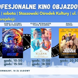 Profesjonalne Kino Objazdowe