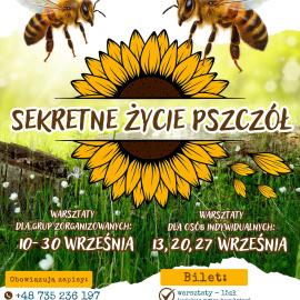 Sekretne życie pszczół – warsztaty w Strefie SOWA