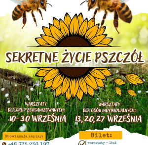 Sekretne życie pszczół – warsztaty w Strefie SOWA